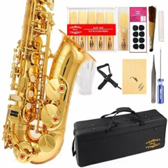 Glory Gold Laquer E Flat Alto Saxophone