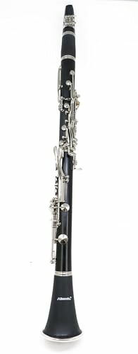 Hisonic Signature Series 2610 Bb Clarinet