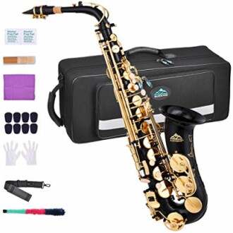 EASTROCK Black/Golden Alto Saxophone E Flat Sax Full Kit