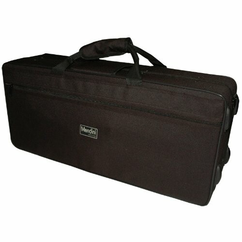 Black rectangular instrument case with handles.