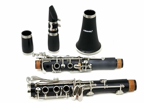 Disassembled parts of a clarinet on display.