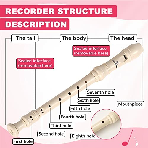 Diagram of a recorder with labeled parts, including tail, body, head, mouthpiece, and holes.