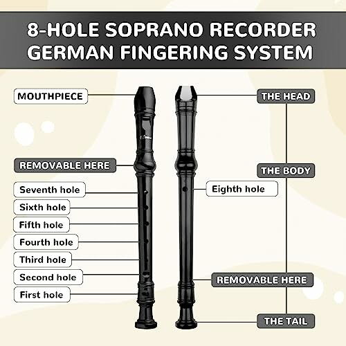 Diagram of 8-hole soprano recorder with German fingering system, labeled parts including mouthpiece, head, body, removable sections, and holes.