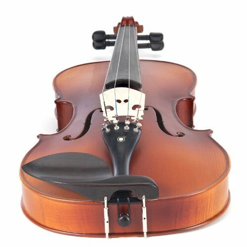 Front view of a violin on a white background.